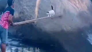 Cat Mom: When kids make mistakes, they must be disciplined right on the spot!