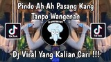 PINDO AH AH KANG TANPO WANGENAN DIVA HANI | LAMUNAN KOPLO VIRAL TIK TOK 2024 !