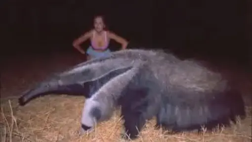 MONSTER weird ☼ ►➘the giant animal estraño animal gigante weird the giant animal