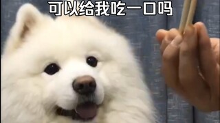 Những con cừu mà tôi thèm muốn sau ngần ấy năm!