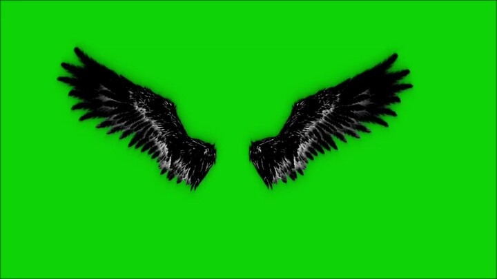 Tài liệu hiệu ứng cánh