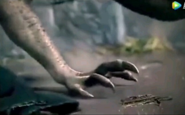 [Remix]A girl becomes a flying dragon