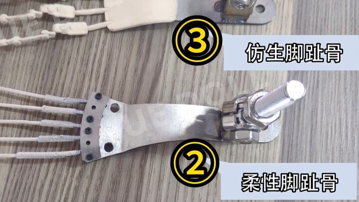 等身手办的脚趾骨有哪几种？