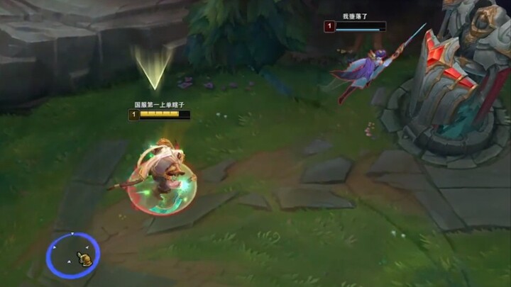 Anjing Shih Tzu: Pertandingan peringkat di puncak ngarai! Di tim kami ada tiga cewek!