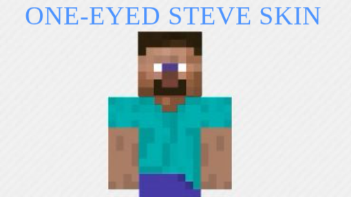 HOW TO MAKE A ONE-EYED STEVE SKIN