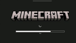 I am a minecraft gamer