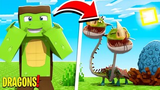 WE RESCUED A NEW BABY DRAGON! - Minecraft Dragons