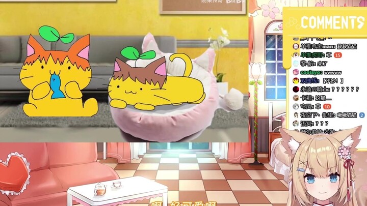 【熟肉】猫猫看anti视频（4）