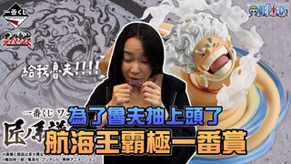 为了路飞抽上头了，海贼王霸极一番赏！