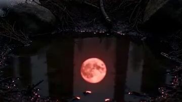 The 5-time Rejected Luna