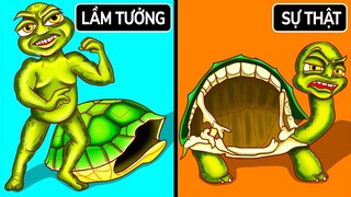Bạn Đã Nghe Điều Này Cả Đời Nhưng Hoá Ra Đó Là Lầm Tưởng