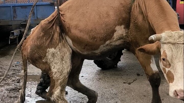 Apakah inspirasi steak api restoran ini berasal dari ayahku yang berkecimpung di industri ini?