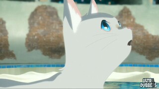 A whisker away |ANIME|