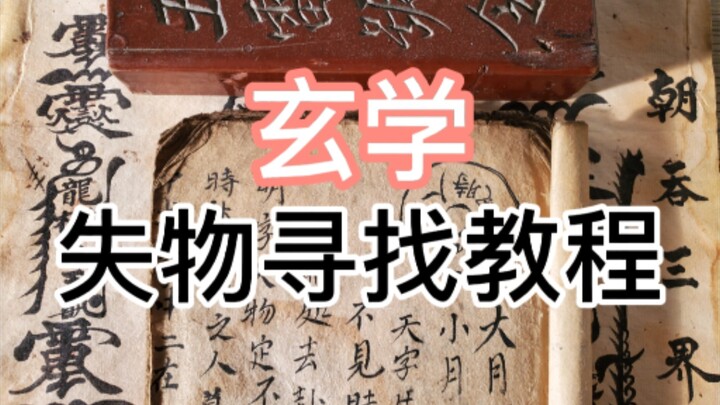 【干货】二分钟学会寻丢失物品（猫狗）保姆级教程