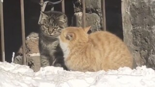 เราต่างหากที่เป็นที่หนึ่งในโลก