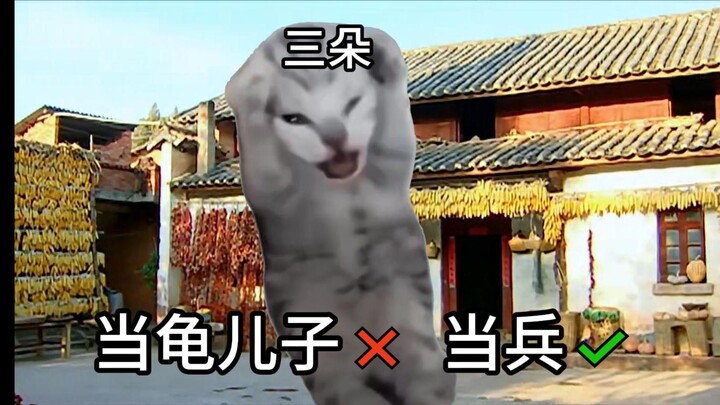 Soldier Struggle tapi meme kucing