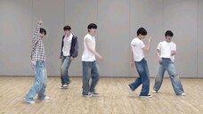 TXT - LOVE LANGUAGE DANCE PRACTICE MIRRORED