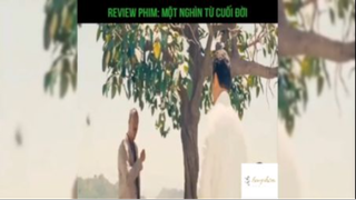 Tóm tắt phim: Một nghìn từ cuối đời #reviewphimhay