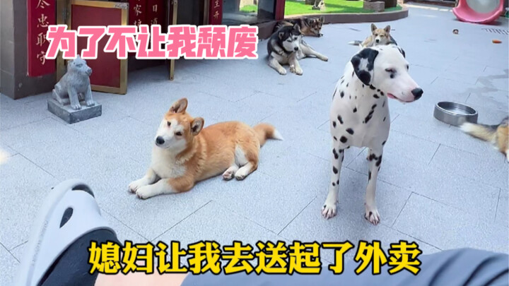 To keep me from slacking off, my wife actually found me a delivery job?