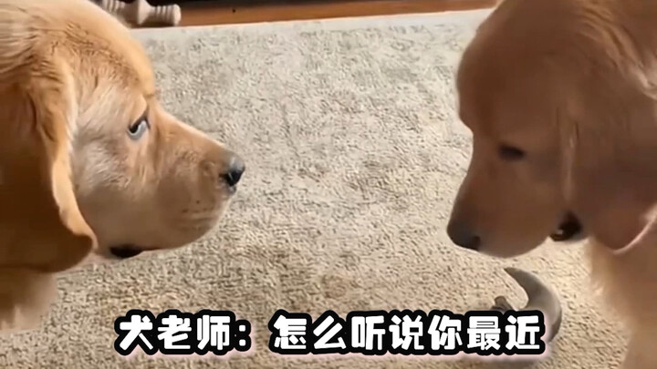 เมื่อสุนัขบำบัดพบกับครูที่มาเยี่ยมบ้าน