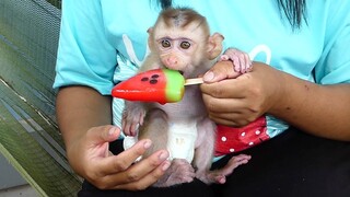 Favorite Food!! Adorable Little boy Maki Very Happy And Like To Eat ice cream Fruit With Mom