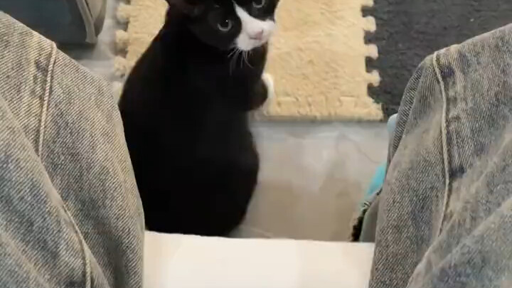 يتلقى الضربة تلو الأخرى...