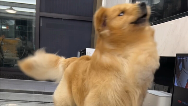 Ketika teman nanya sama siapa aku main di rumah