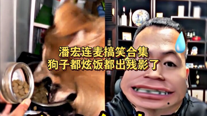 รวมคลิปตลกจากการไลฟ์คู่ของพานหง หมาตัวน้อยยังกินข้าวจนเหลือแต่เงาร่างลางๆ