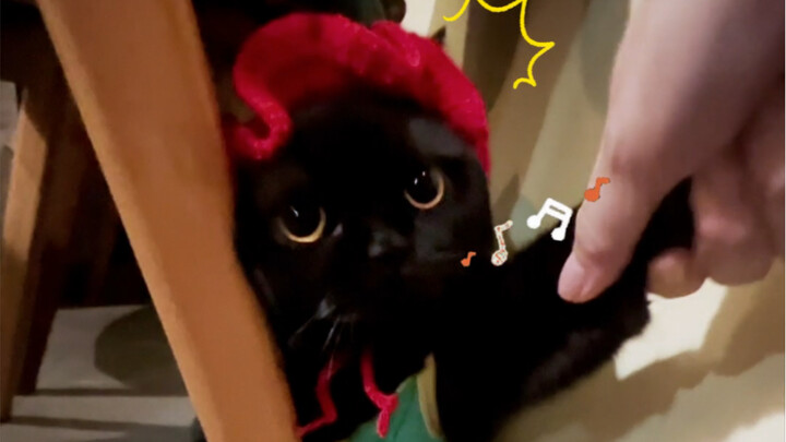 Qian Suisui’s little convenience store just opened for business today, and Mo De’er already slammed 