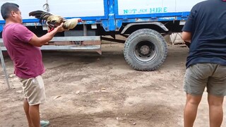 #bulikxtalisay #firstspar#stagvsstag