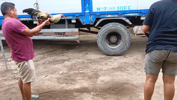 #bulikxtalisay #firstspar#stagvsstag