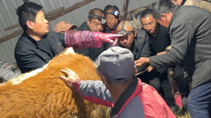 Woke up in the middle of the night and was dragged into a long chat by my old dad!