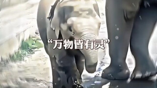 “万物皆有灵”
