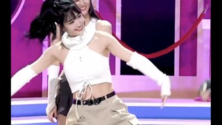 Rabbit people, learning everything will only harm you...