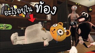 แมวอะไร...ท้องโต !! [พี่ซี] Garry mod