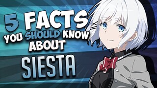 Siesta Facts // THE DETECTIVE IS ALREADY DEAD