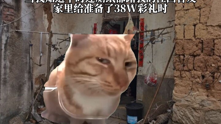 江西舍友回家相亲