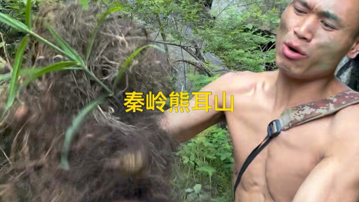 Entering the Xiong’er Mountains of the Qinling Range