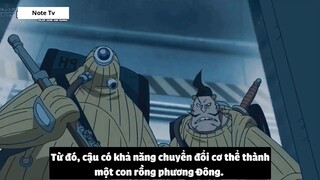 Top 10 Người Ăn Trái Ác Quỷ Từ Khi Còn Nhỏ  #28- 5