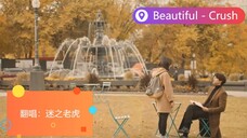 【诚意翻唱:迷之老虎】- 26.Crush《Beautiful》