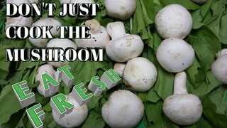 Eat the Mushroom Fresh | Italian Rocca Salad