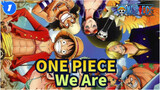 [ONE PIECE] Băng hải tặc Mũ Rơm - Bạn nhớ lần đầu xem One Piece chứ? - 'We Are'_1