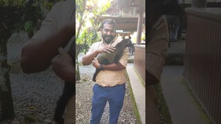 Meet the Mysterious Wild Palm Civet | Bali's Hidden Treasures | Secrets of Luwak Coffee