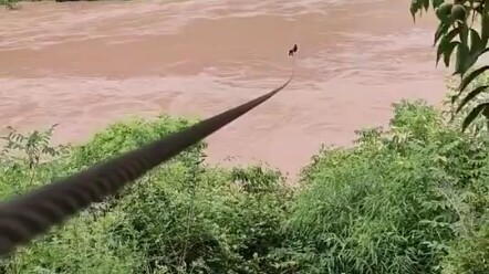 众所周知，三点一线 直线最短