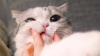 靠太近了啊啊啊