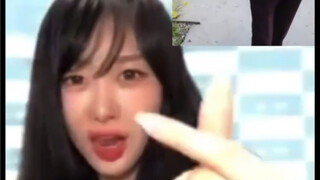 吉姐，吉塞尔pk秀才