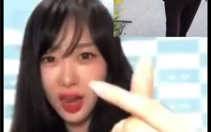 吉姐，吉塞尔pk秀才