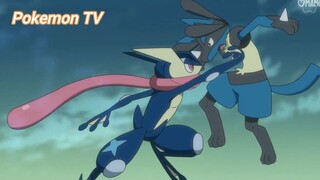 Pokemon (Short Ep 108) - Thách đấu với Gekkouga #pokemon