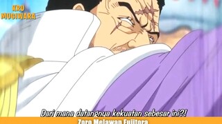 Zoro Melawan Fujitora