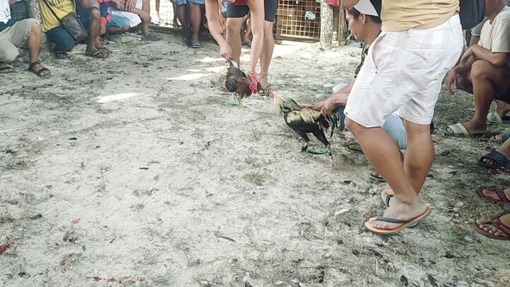 butab versus bayong